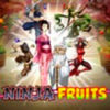 Ninja Fruits Ninja Fruits